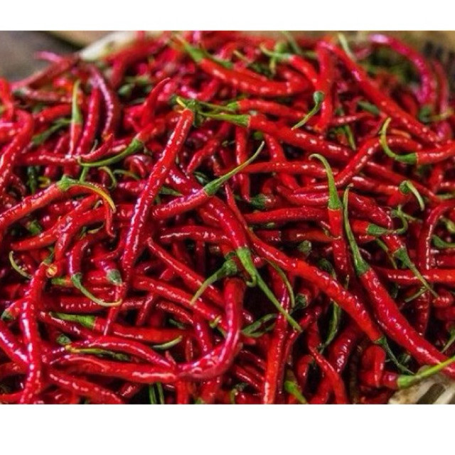 

Cabe Cabai Merah Keriting