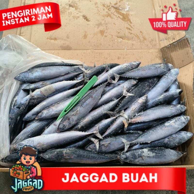 

Ikan Tongkol Deho JAGGA FRUIT