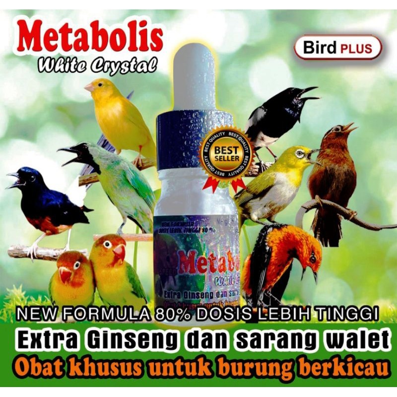 Metabolisme White Crystal untuk lomba