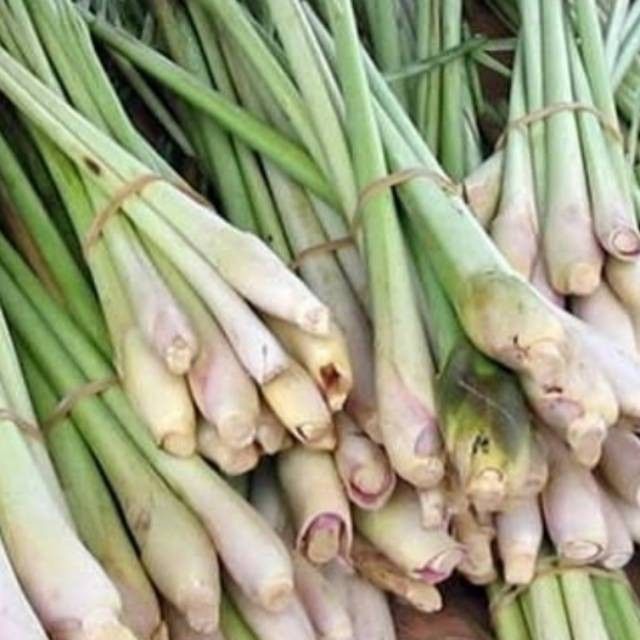 

Serai Sereh Wangi Segar 1 kg / Serei Fresh / Sere