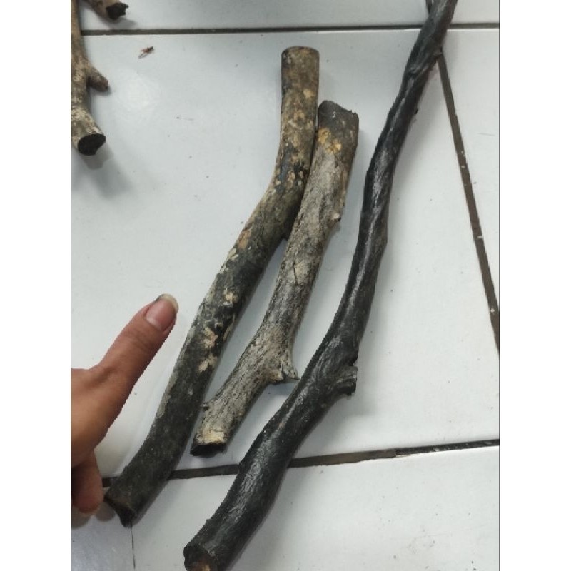 BAHAN PIPA GAGANG HANDEL GELANG AKAR BAHAR JUMBO PADAT