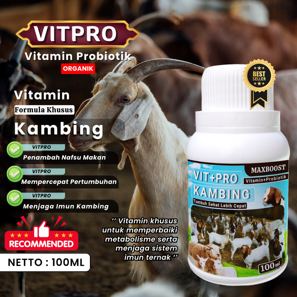 COD VIT+PRO Penggemuk Kambing 100% Vitamin Hewan Ternak Aman, VITAMIN KHUSUS TERNAK KAMBING, MEMPERC