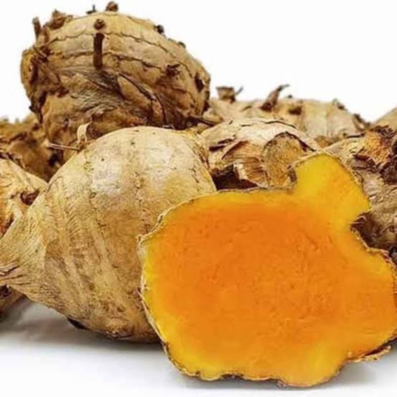 

Temulawak Segar Fresh 1kg