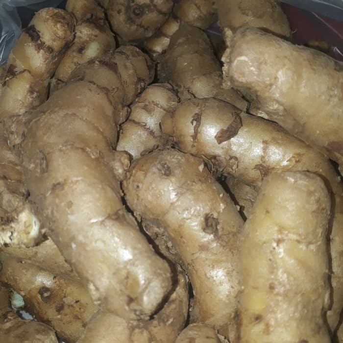 

New COD 1kg Temu Ireng/Temu Hitam Curcuma Aeruginosa