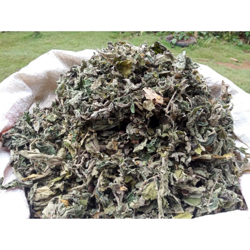 

PROMO Daun kersen kering super obat diabetes 250 gram