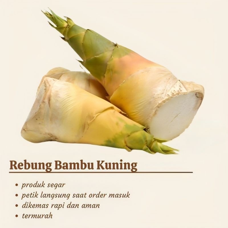 rebung bambu kuning per batang