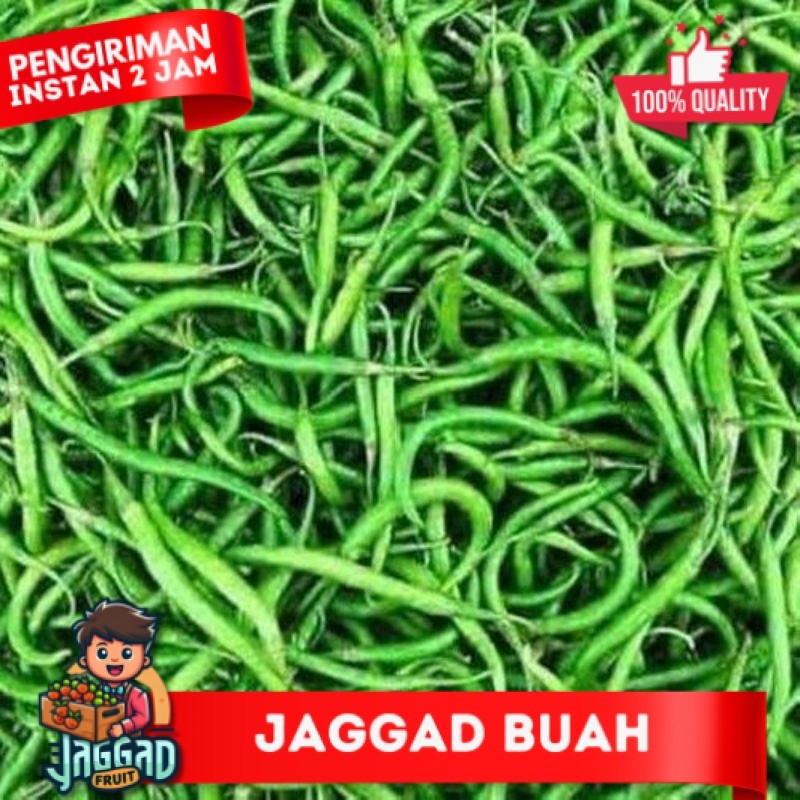

cabe ijo keriting murah meriah 1kg cabei hijau keriting fresh JAGGA FRUIT