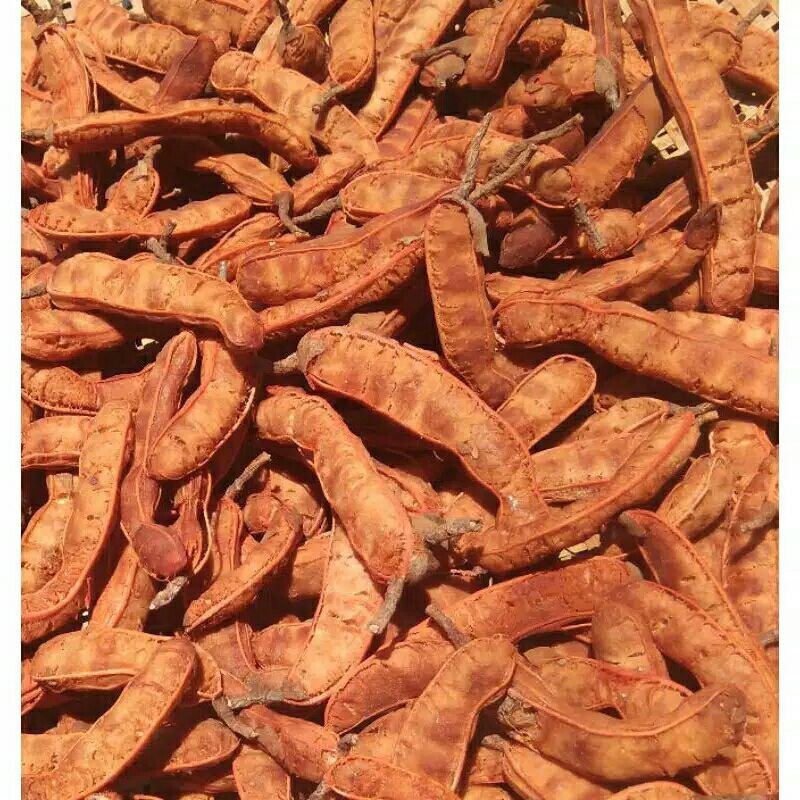 

Asam Jawa Asli 1 kg//BUMBU REMPH REMPAH ASEM JAWA
