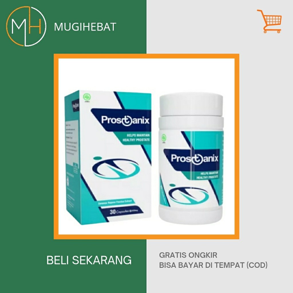 Prostanix Asli Obat Prostat Herbal Original Bergaransi Resmi BPOM