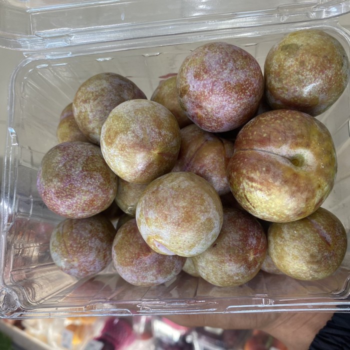 

plum holfresh super pack 800 grm | Buah plum pack