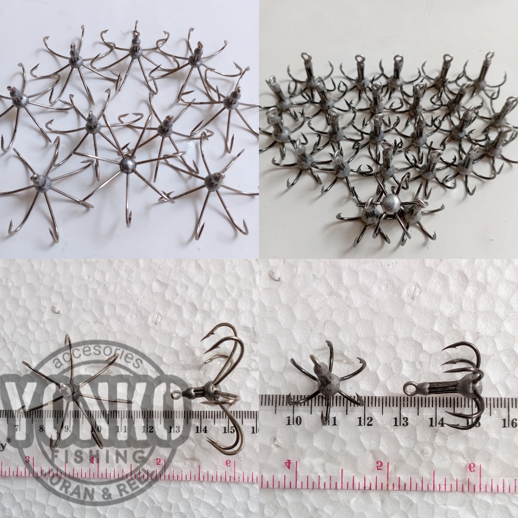 Kail Garong Baronang Lumut Semi Tembus Matahari/Clitoris