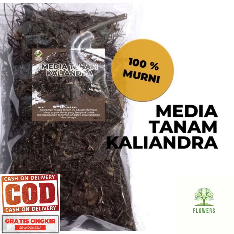 Media Tanam Anggrek (Media Anggrek) Media khusus Angrek