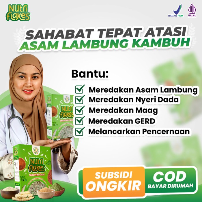 

Nutriflakes Sereal Umbi Garut Original Atasi Asam Lambung Maag Diet
