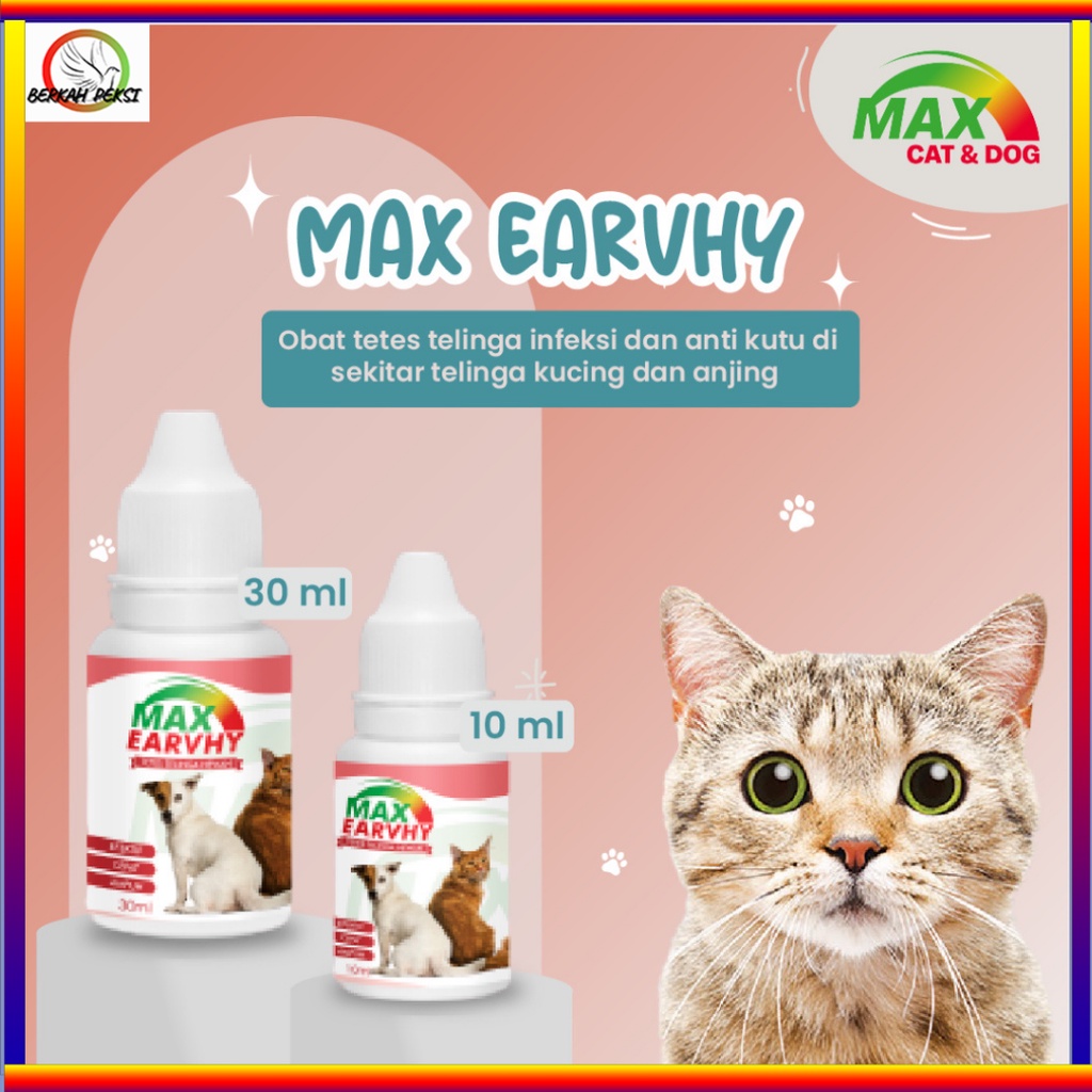 OBAT TETES TELINGA MENGOBATI INFEKSI SAKIT TELINGA KUCING DAN ANJING MAX