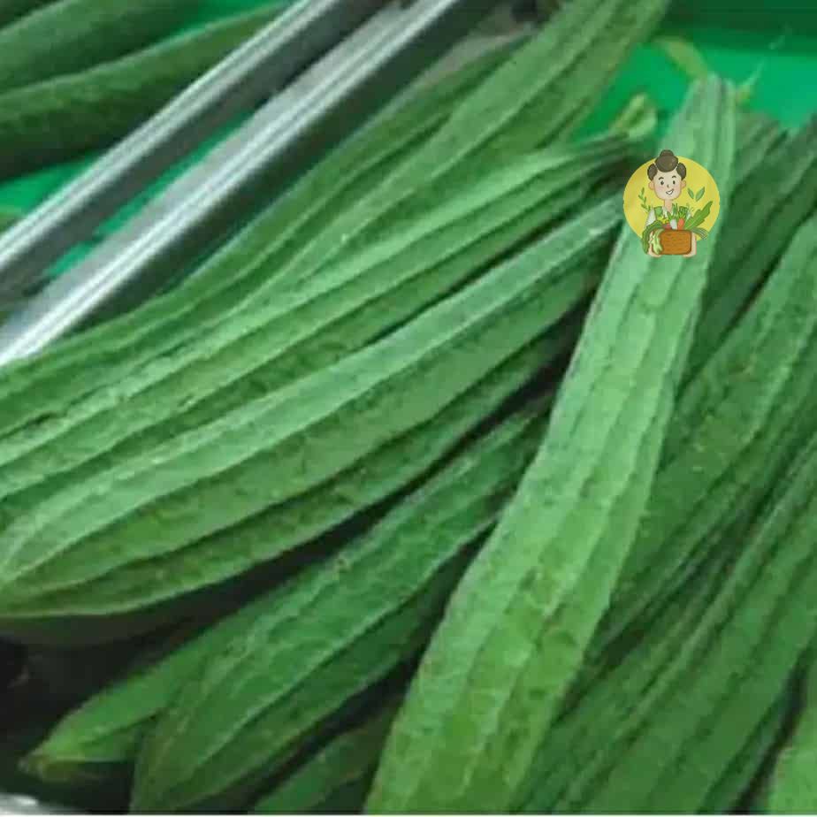 

Oyong / Gambas Fresh 500 gr - Sayur Segar Instan Malang