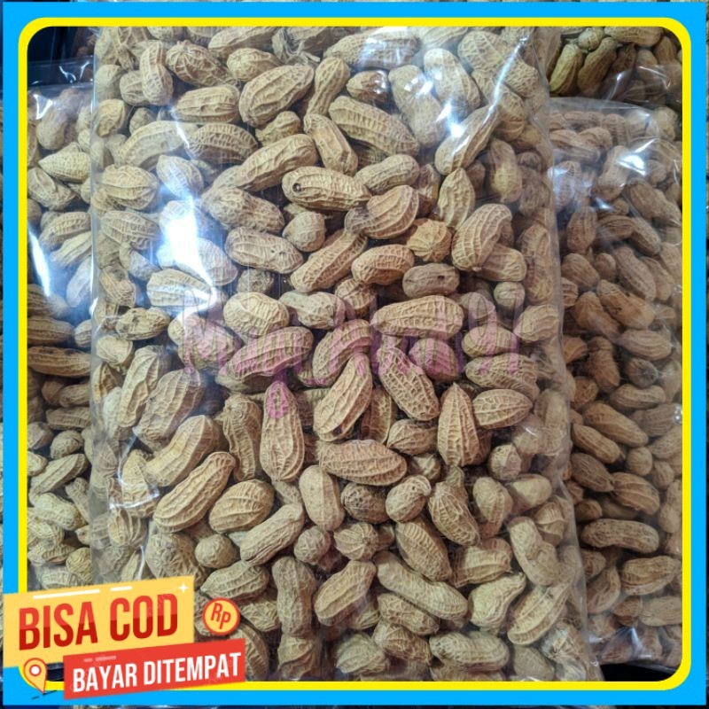 

kacang kulit sangrai 1kg kacang kulit bakar