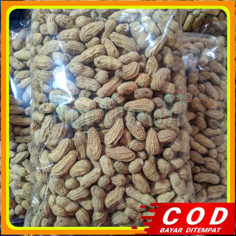 

kacang kulit sangrai 1kg kacang kulit bakar