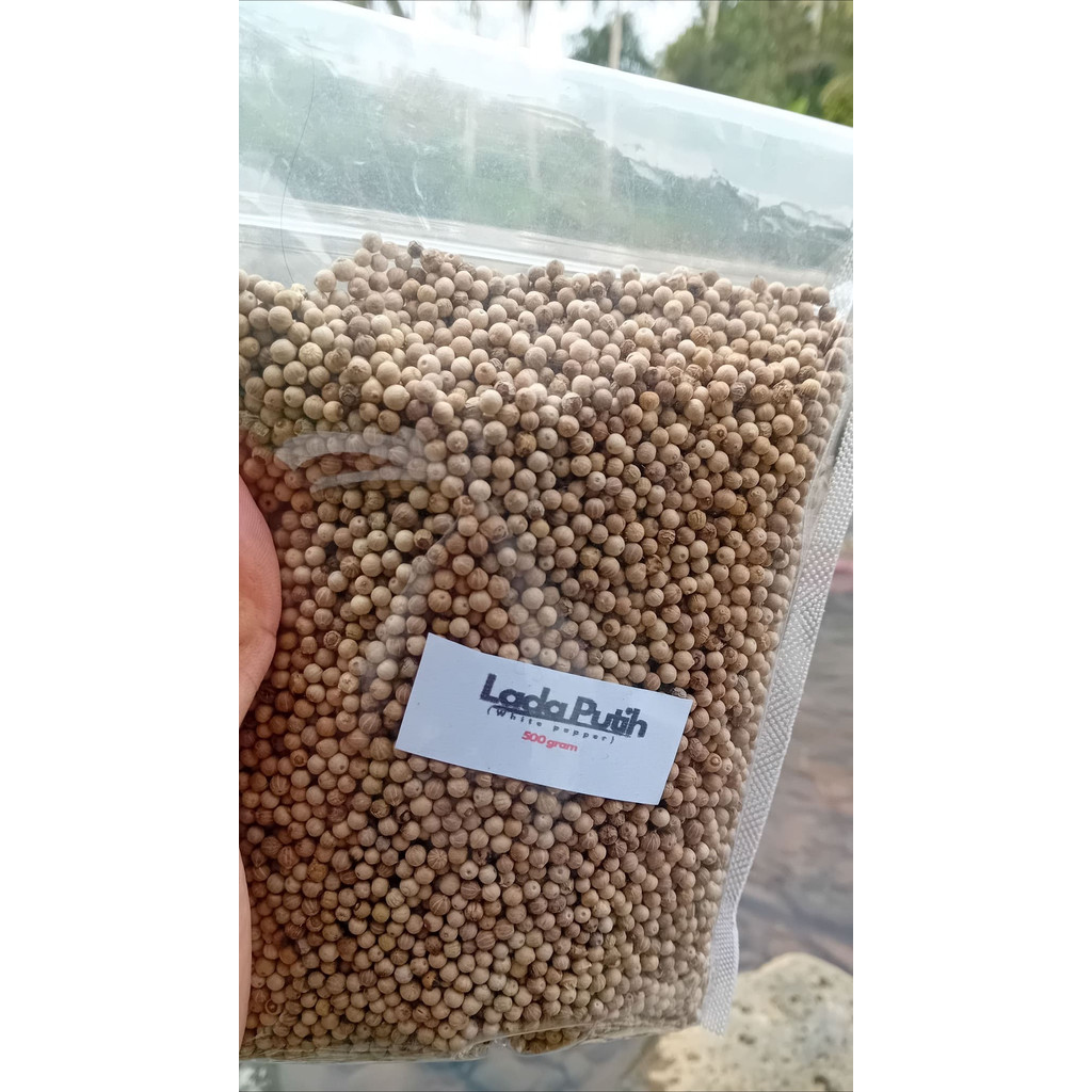 

Lada Putih Merica Putih 1Kg / 1000 Gram