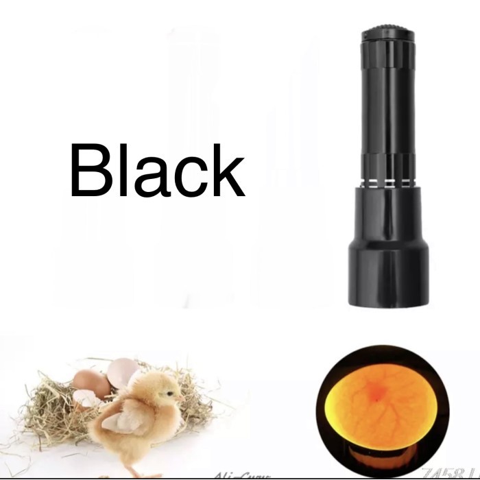 Senter Teropong Cek Telur Ayam Bebek Angsa Unggas Incubator Eggtester HS