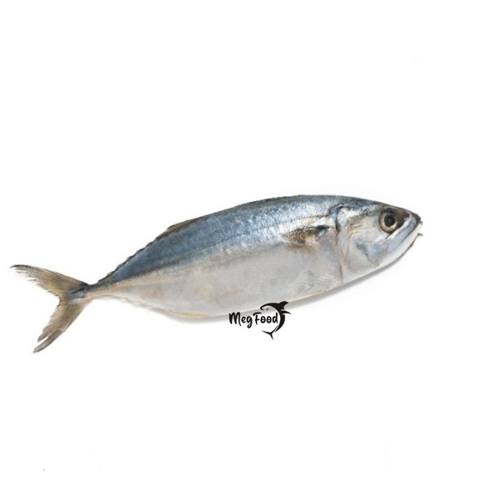 

Ikan Banyar Frozen isi 7-9 pcs / 1Kg