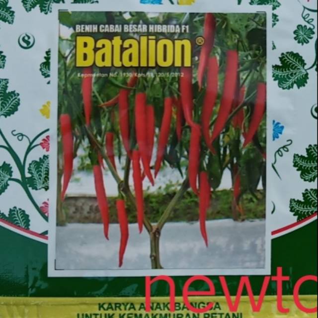 Benih bibit cabe BATALION F1 60 butir cabe besar hibrida smallpack kemasan kecil dari benih pertiwi