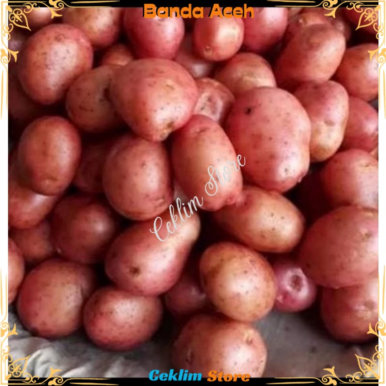 

Kentang Merah Fresh