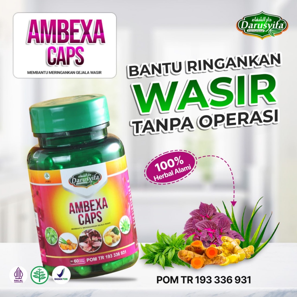 

Kapsul AMBEXA Darusyifa isi 60 kapsul Ekstrak Daun Ungu Herbal Alami Wasir