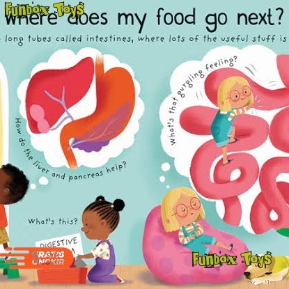 Usborne Where Does My Food Go? First Questions and Answers Lift Flap