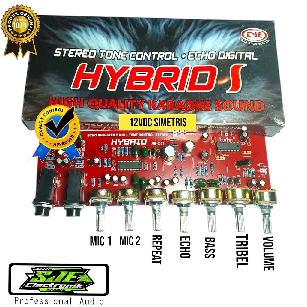 Echo repeater 2 mic+tone stereo Amplifier Mixer Bass