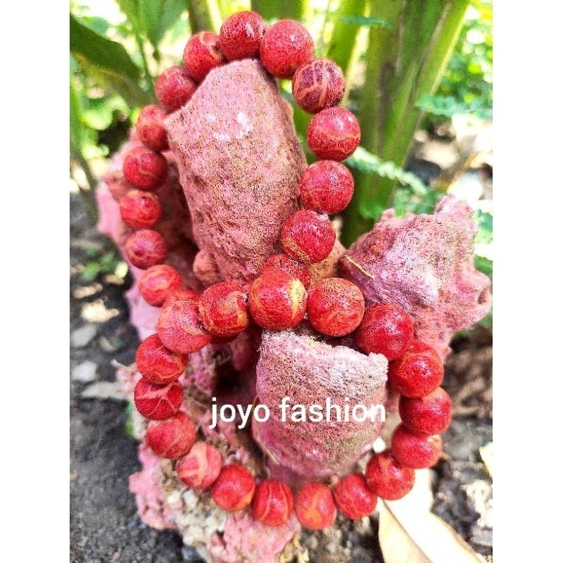 GELANG TASBIH BATU MARJAN LAUT MERAH NATURAL