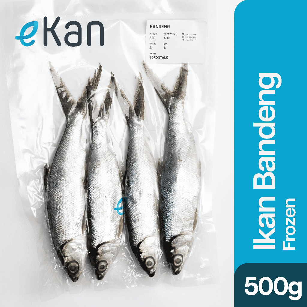 

Ikan Bandeng Frozen