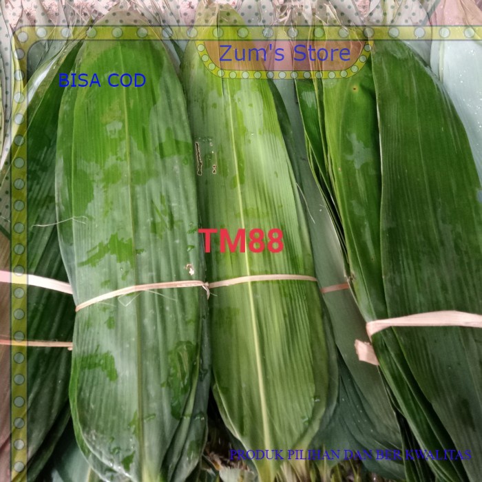

TERLARIS DAUN BAMBU/DAUN BACANG/DAUN BAKCANG