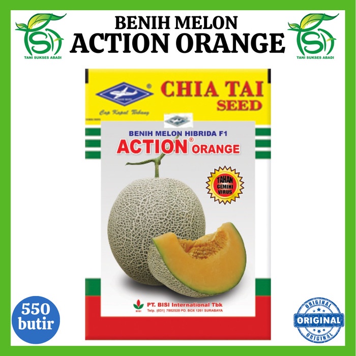 Benih Melon ACTION ORANGE (550 Biji) - Bibit Cap Kapal Terbang BISI F1