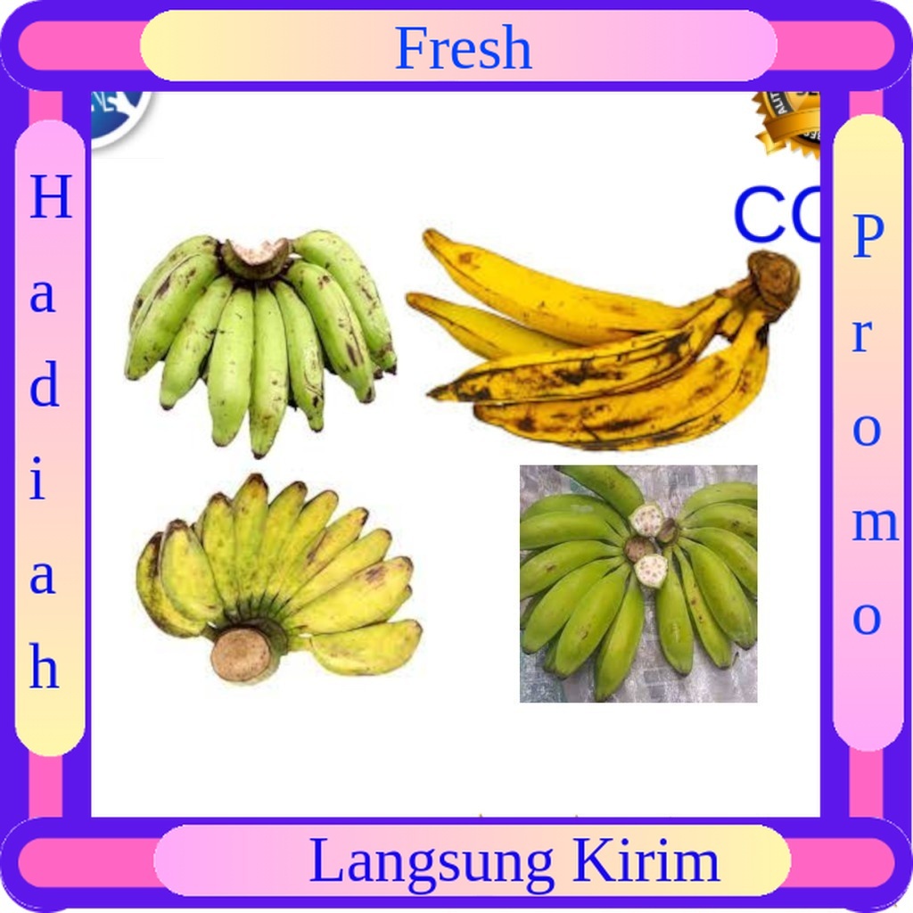 

Pisang Raja Nangka, Pisang Tanduk, Pisang Kepok, Pisang Batu (Keluthuk / Untuk Rujak) Murah
