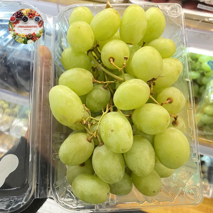 

Anggur Green Envy Manis Garing | Buah Anggur Hijau Envy 1 Kg