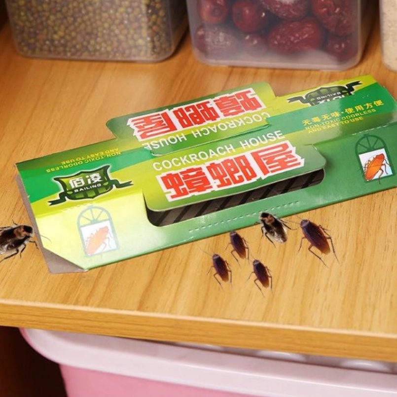 Rumah Jebakan Kecoa Rumah Perangkap Kecoa Lem Kecoa Cockroach Control Pest Mirip Hoy Hoy Pembasmi Pe