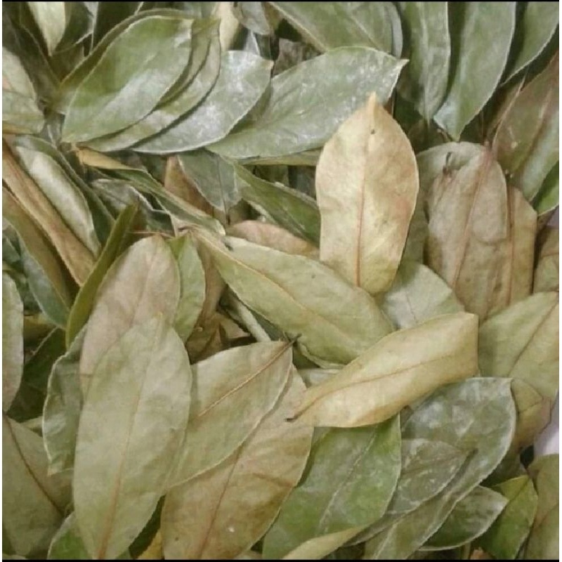 

promo Daun Sirsak Kering 50 gram ( Annona Muricata )