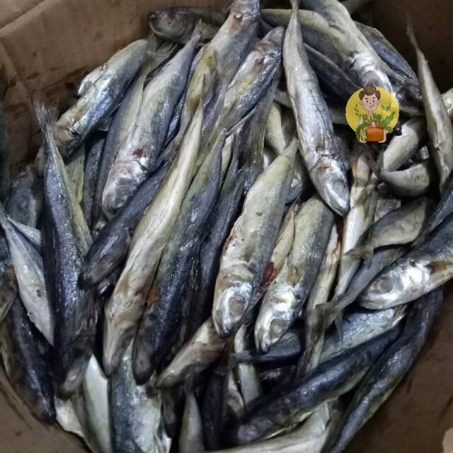 

Ikan Klotok Manis 100 gram