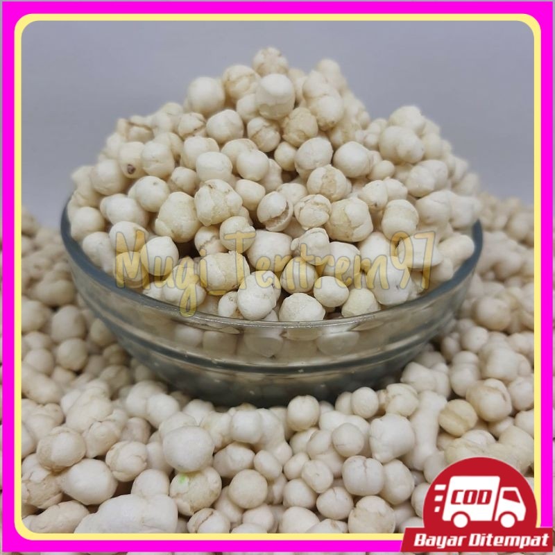 

1kg pilus kencur premium