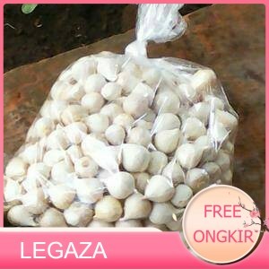 

Bang Putih Tunggal/Bang Lanang Herbal alami 250gr - JUMBO - Legaza