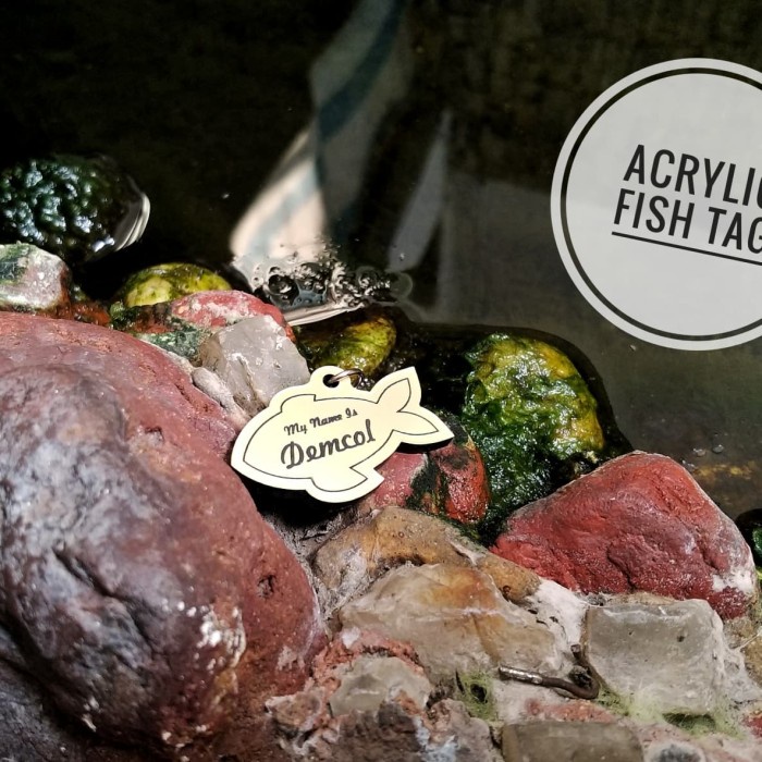 

[KSG-97] CAT TAG / NAME TAG KUCING / TAG KUCING ACRYLIC 2 SISI