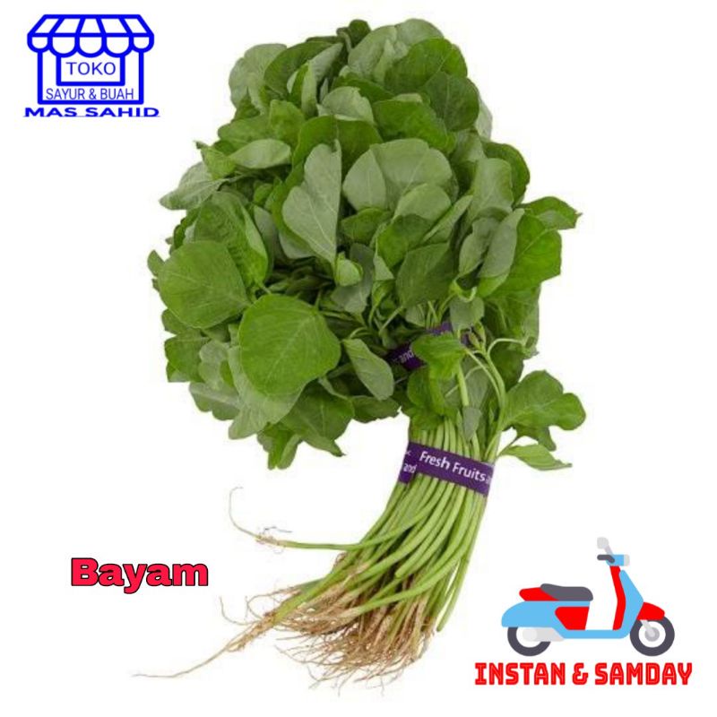 

INSTAN Sayur Bayam Daun Bayem 1ikat