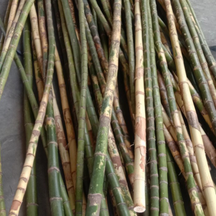 BATANG PALEM WAREGU BAHAN ALAT PANCING/KERAJINAN 80cm