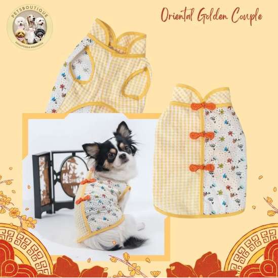 Aksesoris kucing baju anjing import - Chinese Golden BOY AGR
