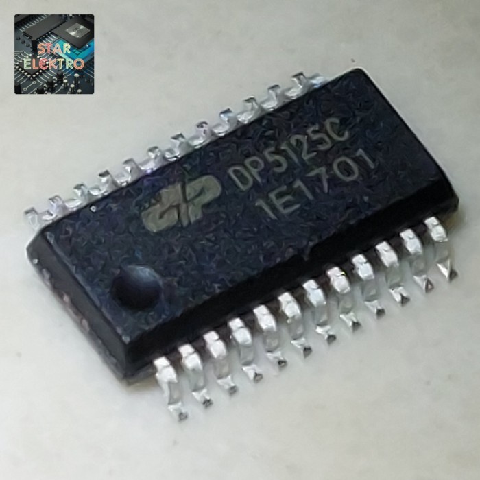 DP5125C SSop-24 SMD DP 5125 DP5125 DP5125D IC LED Current Driver