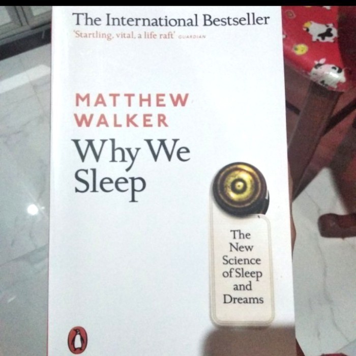 buku why we sleep