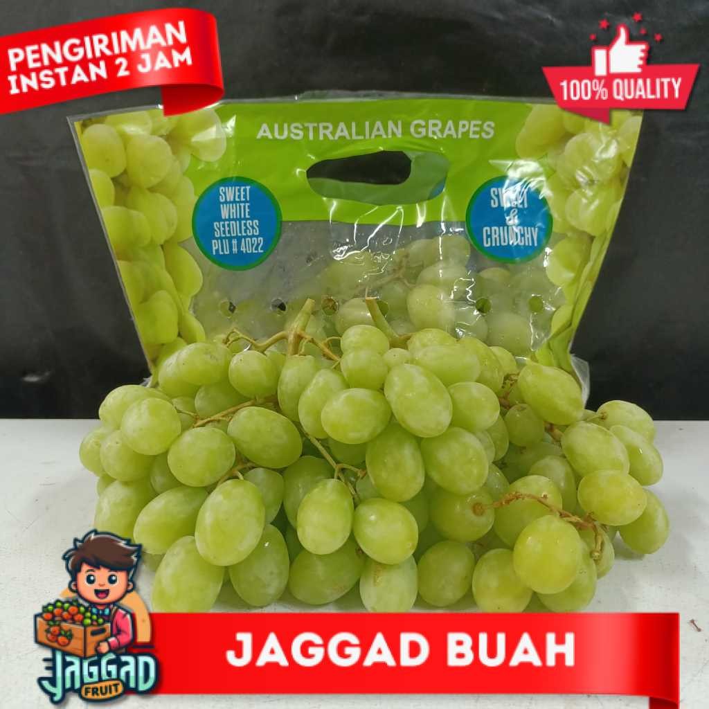 

ANGGUR HIJAU TANPA BIJI / SEEDLESS GREEN GRAPES Jaggad Fruit