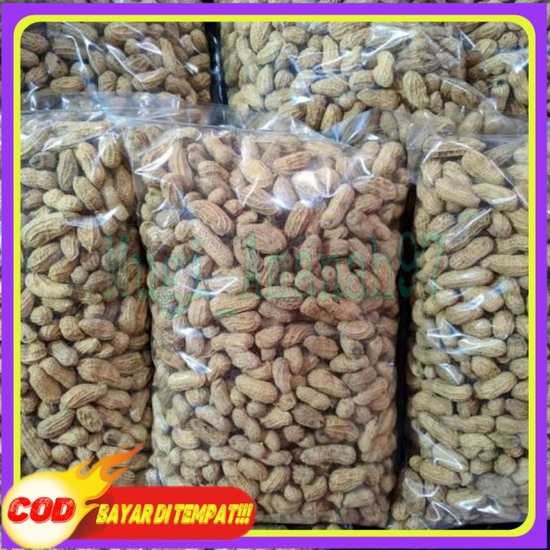 

1Kg Kacang Kulit Sangrai Madura Camilan Kacang sangrai Camilan Kacang Oven Kacang Di Sangrai