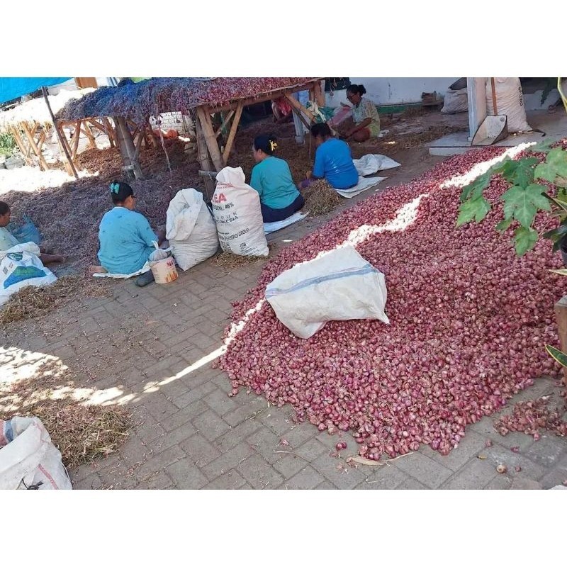 

SALE - TERBARU bawang merah gratis ongkir murah bwang merah 1 kg bawang merah kering bawang merah super siap kirim