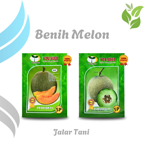 Benih Melon Madurasa F1 & Melon Premier F1 Bibit Kemasan 50 Biji You Seed